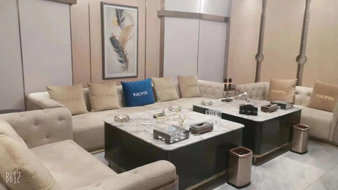 忻州商务ktv价格多少钱一个小时-定襄县ktv预定